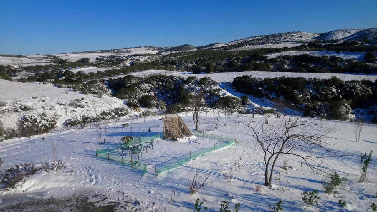 Daniil'S Luxury Villa And Spa Agios Antonios  Exterior foto